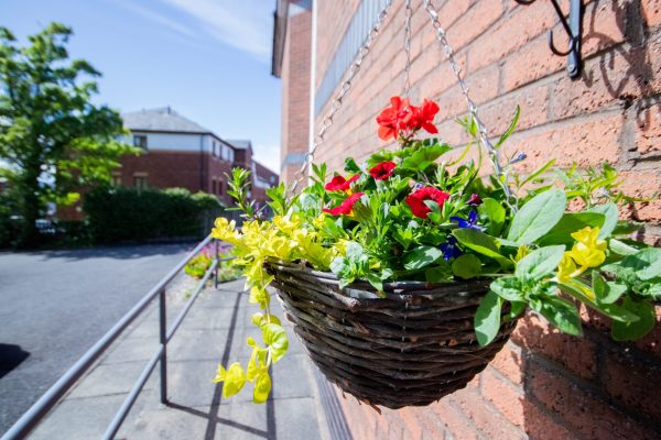 hanging basket outside building with railings