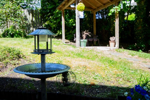 garden area with nice wooden feature and bird bath
