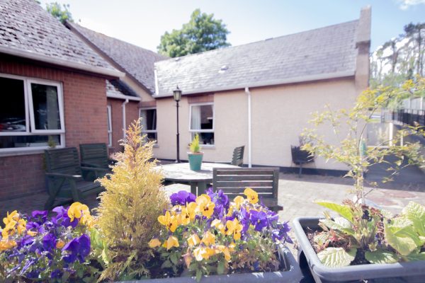 flowers outside in paved garden